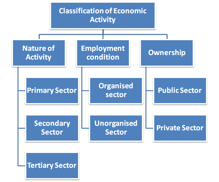 sectors of economy mind map